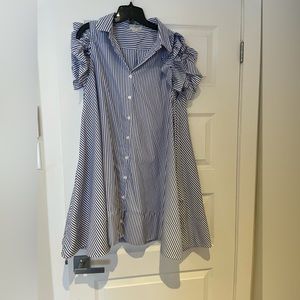 Lili Sidonio by Molly Bracken Smocked Shirt Dress